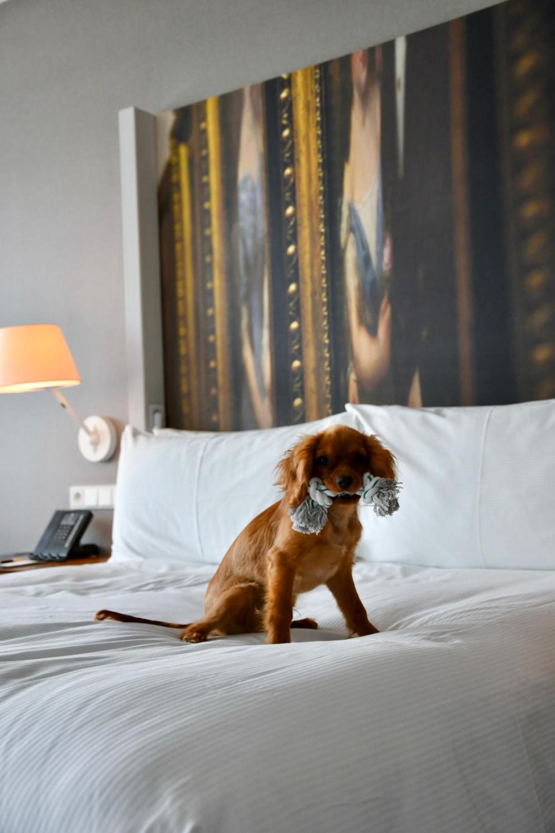 Hotel Doubletree By Hilton Breslavia Esterno foto A dog at the Hotel